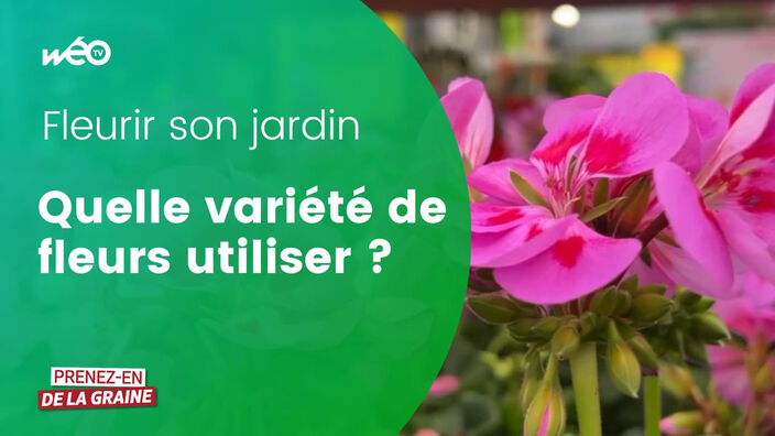 Quelle variété de fleurs utiliser pour fleurir son jardin ?