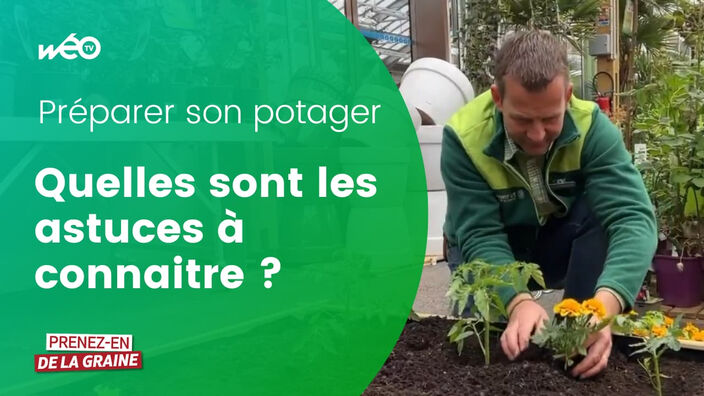 Les astuces pour entretenir son potager