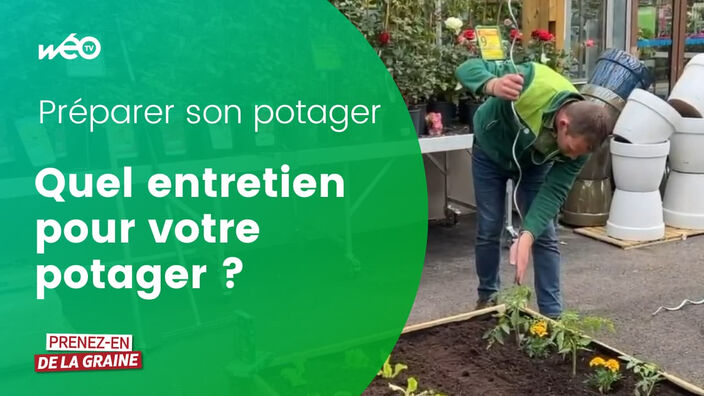 Comment entretenir son potager