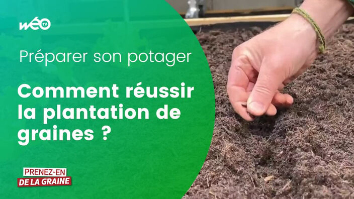 Comment planter les graines dans son potager