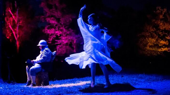 "Cygnes des temps" à Péronne : un spectacle à travers le temps !