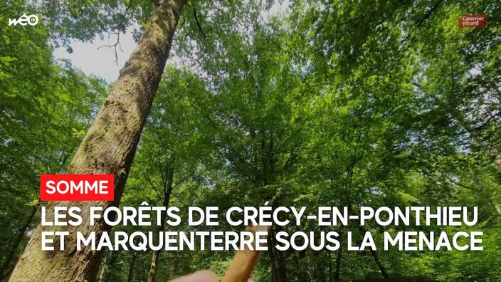 Le risque d'incendie en forêt dans la Somme pris au sérieux