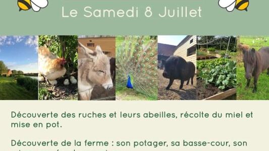 Le miel à la ferme