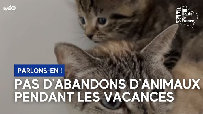 Ligue Protectrice des animaux : pas d'abandons pendant les vacances