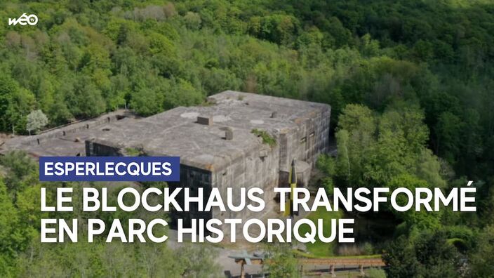 Esperlecques : Le blockhaus, un monstre au coeur de la forêt, transformé en parc historique