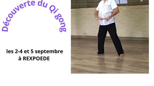 Découverte du Qi gong