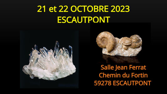 25ème salon international  Minéraux et Fossiles d'Escautpont