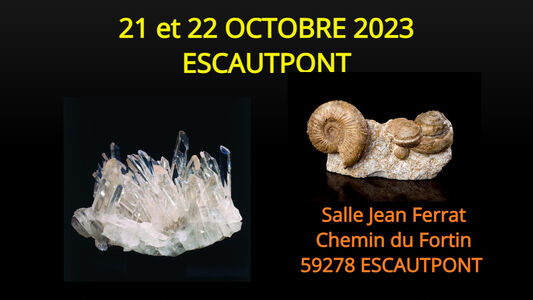 25ème salon international Minéraux et Fossiles d'Escautpont