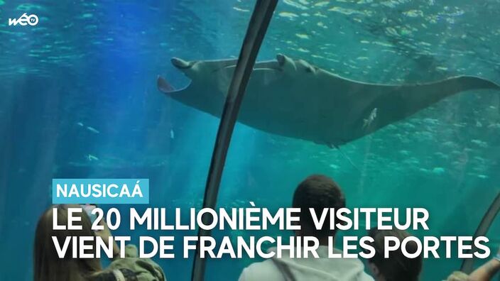 Nausicaá : le plus grand aquarium d'Europe attire toujours plus de visiteurs