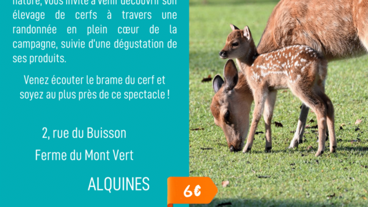 Rando à la ferme