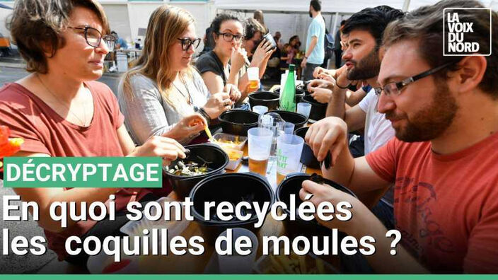 En quoi sont recyclées les coquilles de moules ? 