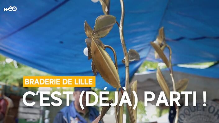 Braderie de Lille : c'est déjà parti !