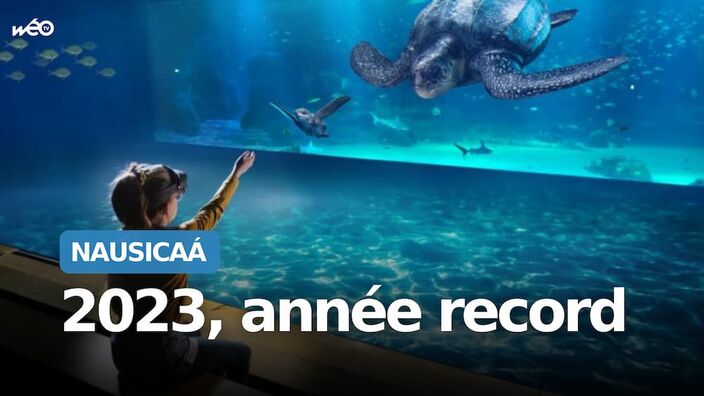 Une année de tous les records pour Nausicaá