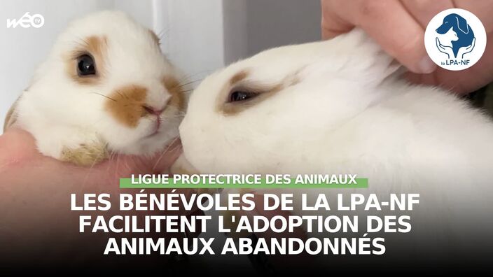 Les bénévoles de la LPA-NF facilitent l'adoption des animaux abandonnés