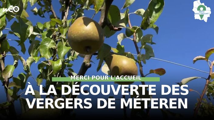 Méteren (59) - Découverte des Vergers de Méteren