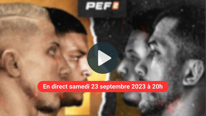 PEF 2 : Grand show de MMA sur Wéo.fr !