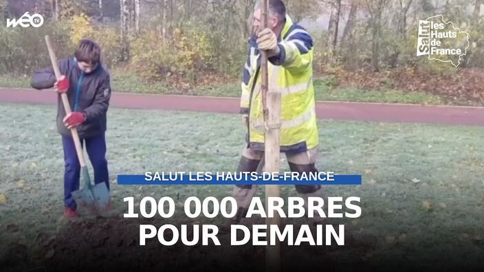 Hauts-de-France : 100 000 arbres pour demain