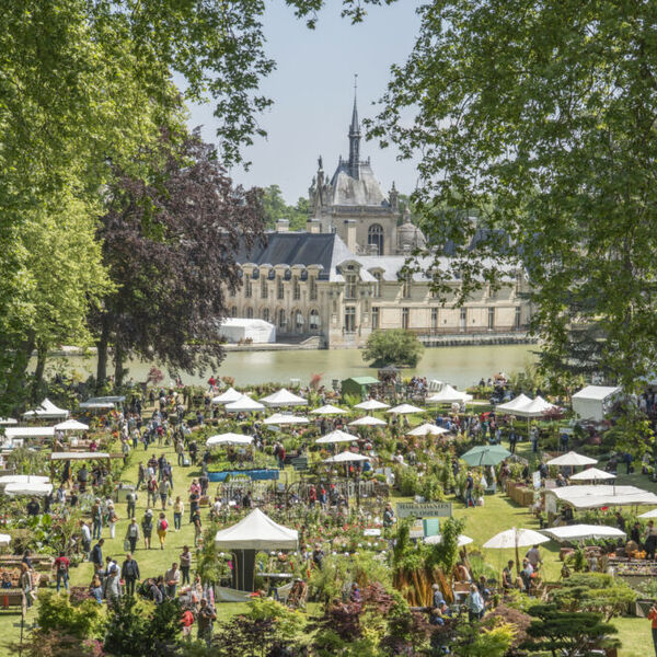 Les Journées des Plantes d'automne de Chantilly 2023