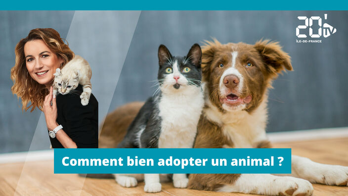 Comment bien adopter un animal ?