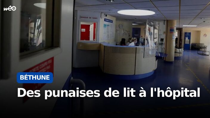 Des punaises de lit aux urgences du CH Béthune-Beuvry