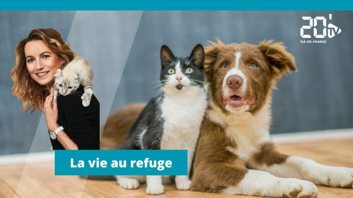 La vie au refuge