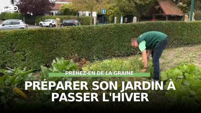 Prenez-en de la graine : préparer son jardin à passer l'hiver