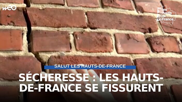 Sécheresse : les Hauts-de-France se fissurent