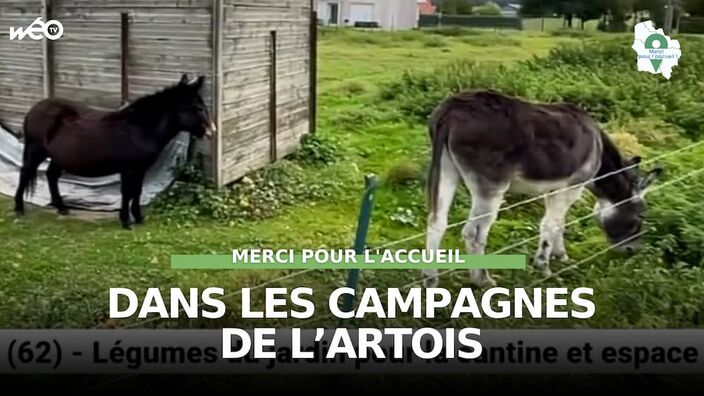 Wanquetin (62) - Légumes du jardin pour la cantine et espace cuturel