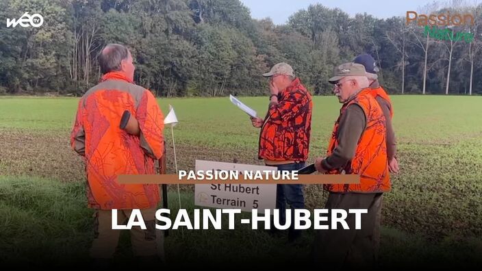 La journée de la Saint-Hubert