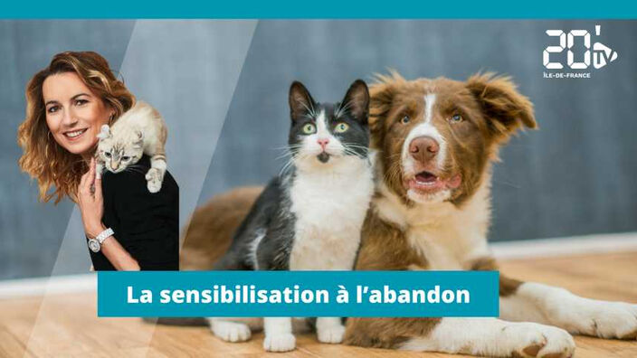 Sensibiliser à l'abandon d'animaux