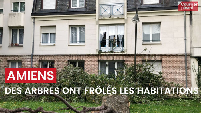Amiens : les élagueurs d'astreintes ont beaucoup de travail après la tempête Ciaran 
