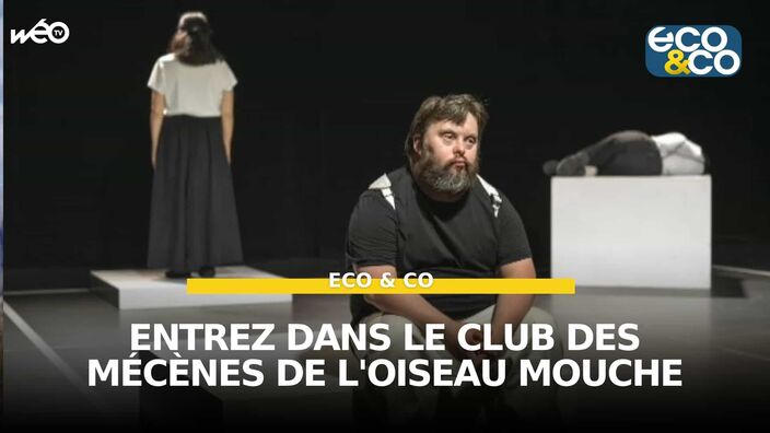 Entrez dans le club des mécènes de l'oiseau mouche