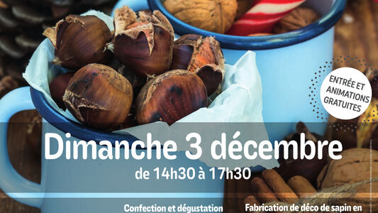 Au pied du sapin !