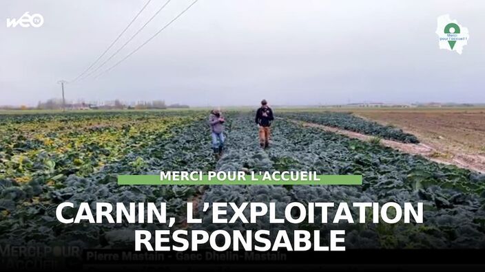 Carnin (59) - Les légumes en circuit court