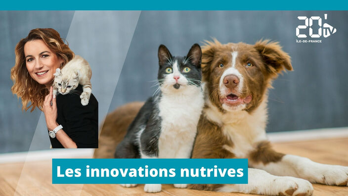 Les innovations nutritives pour le bien-être de nos animaux
