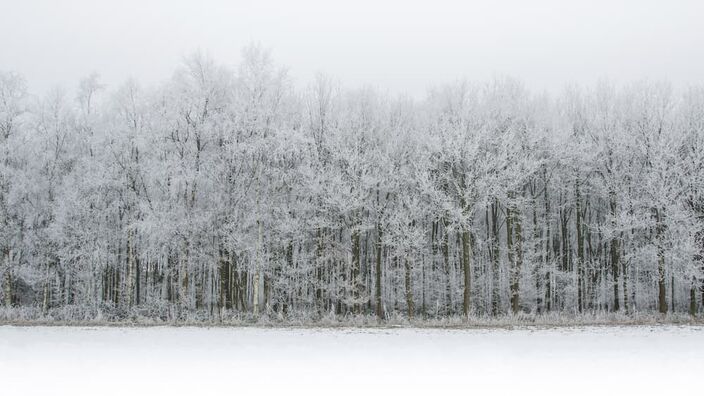 De la neige dans les Hauts-de-France ?