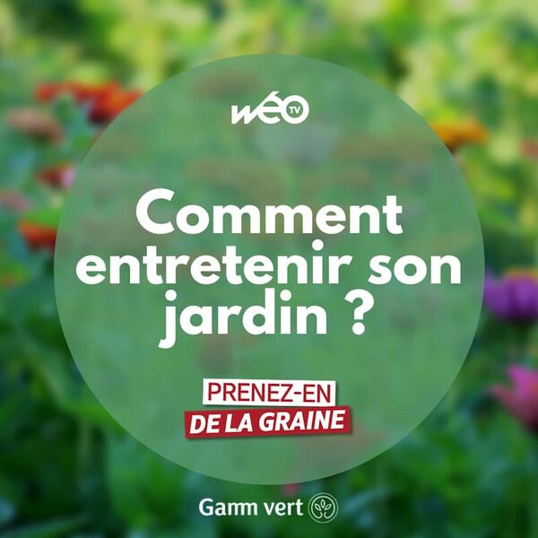 Prenez-en de la graine avec Gamm vert