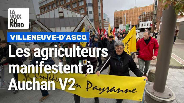 Les agriculteurs manifestent à Auchan V2