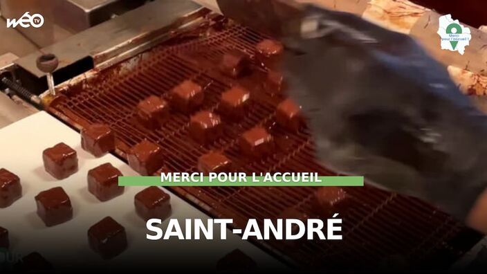 Saint-André (59) - De la fève au chocolat !