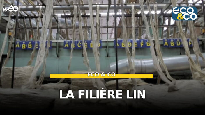 Filière lin : une demande supérieure à l’offre