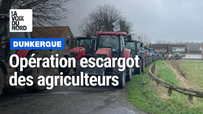 Dunkerquois : coup de semonce des agriculteurs