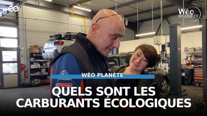 Carburant écologique : un plus pour l'environnement ?