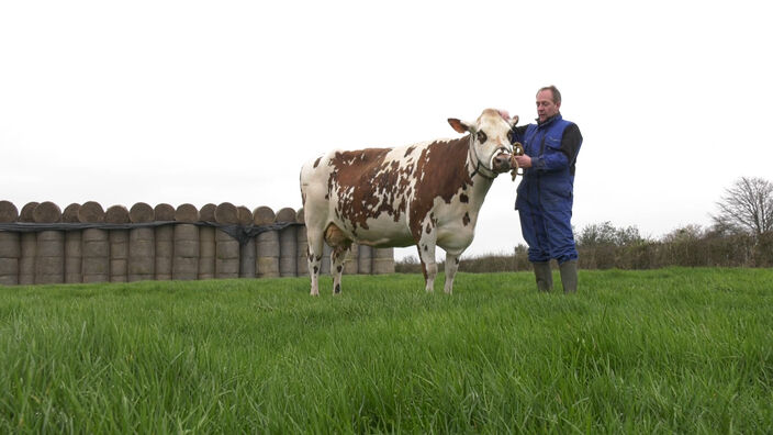 Salon de l'Agriculture : Noëlle, en lice pour le Concours Général Agricole