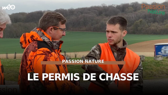 Se préparer à passer le permis de chasse