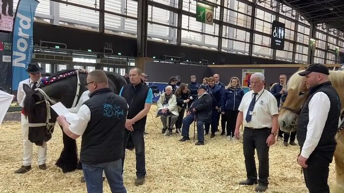 Au salon de l'agriculture, les races locales du Nord ont été mises à l'honneur