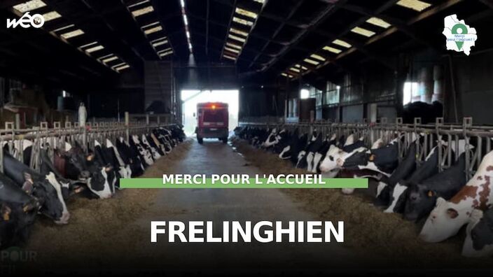 Frelinghien (59) - Découverte de la ferme Catteau