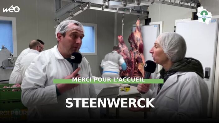 Steenwerck (59) - Découpe et transformation de la viande blanc bleu