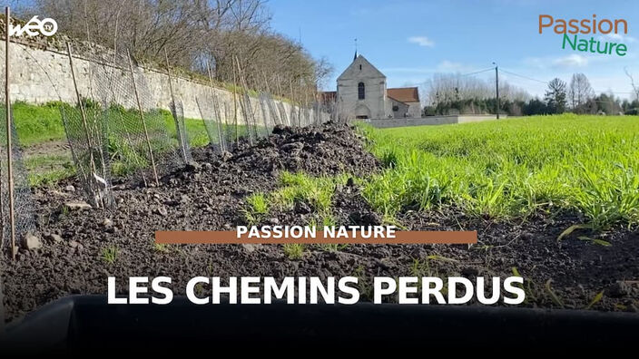 Retrouver les chemins perdus