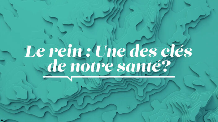 La Santé D'abord : Le rein : clé de notre santé ?