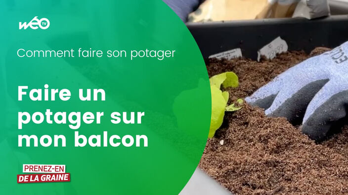 Avoir un potager sur son balcon